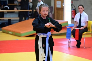 Un tournoi de viet vo dao a concerné les enfants au dojo à Yssingeaux