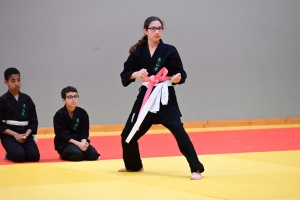 Un tournoi de viet vo dao a concerné les enfants au dojo à Yssingeaux