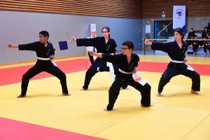 Un tournoi de viet vo dao a concerné les enfants au dojo à Yssingeaux