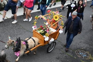 La chèvre du Massif Central parade ce dimanche à Saint-Front (vidéo)