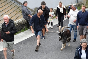 La chèvre du Massif Central parade ce dimanche à Saint-Front (vidéo)