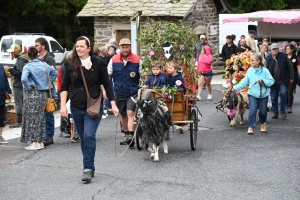 La chèvre du Massif Central parade ce dimanche à Saint-Front (vidéo)