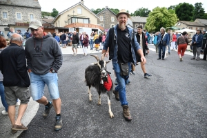 La chèvre du Massif Central parade ce dimanche à Saint-Front (vidéo)