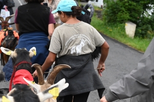 La chèvre du Massif Central parade ce dimanche à Saint-Front (vidéo)