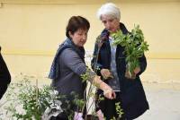 Des jardiniers sont venus échanger plants, graines et  astuces