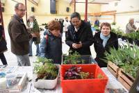 Des jardiniers sont venus échanger plants, graines et  astuces