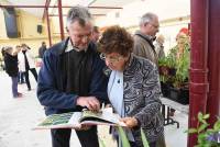 Des jardiniers sont venus échanger plants, graines et  astuces