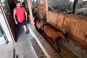 Les Vastres : la Bergerie du Vieux Moulin joue avec bonheur la carte de la transparence