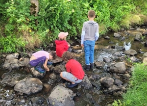 Yssingeaux : les écoliers de Jean-de-la-Fontaine analysent la qualité de l&#039;eau de la Siaulme