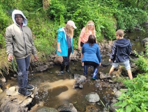 Yssingeaux : les écoliers de Jean-de-la-Fontaine analysent la qualité de l&#039;eau de la Siaulme