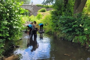 Yssingeaux : les écoliers de Jean-de-la-Fontaine analysent la qualité de l&#039;eau de la Siaulme