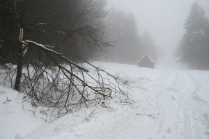 Le vent a causé des dégâts dans le Meygal : la station s&#039;active pour rouvrir les pistes de ski