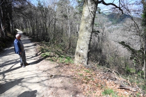 La passerelle himalayenne des gorges du Lignon est ouverte ! (vidéo)