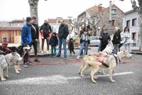 Retournac : les animations de Noël se poursuivent dimanche