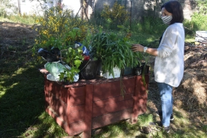 Les Villettes : un troc plants et une visite de jardin chez Funambulle