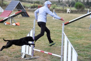 Yssingeaux : un concours d&#039;agility complet au Club canin des Sucs