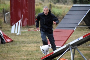 Yssingeaux : un concours d&#039;agility complet au Club canin des Sucs