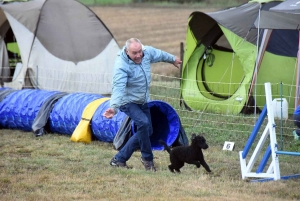 Yssingeaux : un concours d&#039;agility complet au Club canin des Sucs