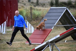 Yssingeaux : un concours d&#039;agility complet au Club canin des Sucs