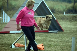 Yssingeaux : un concours d&#039;agility complet au Club canin des Sucs