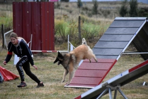 Yssingeaux : un concours d&#039;agility complet au Club canin des Sucs