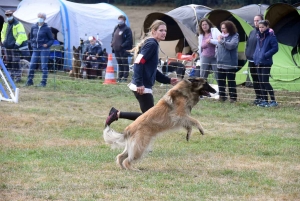 Yssingeaux : un concours d&#039;agility complet au Club canin des Sucs