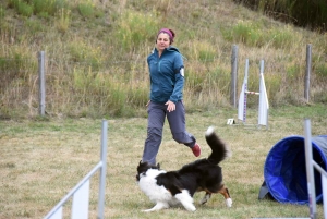 Yssingeaux : un concours d&#039;agility complet au Club canin des Sucs