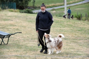 Yssingeaux : un concours d&#039;agility complet au Club canin des Sucs