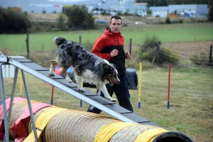 Yssingeaux : un concours d&#039;agility complet au Club canin des Sucs