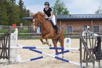 Yssingeaux : un challenge d&#039;équitation à la maison pour le lycée agricole