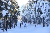 Les championnats de Haute-Loire de ski de fond en images