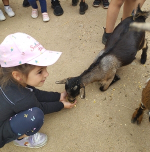 Saint-Maurice-de-Lignon : les Petits Loups au Ranch Montana