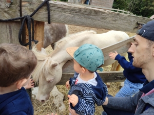 Saint-Maurice-de-Lignon : les Petits Loups au Ranch Montana