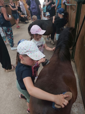 Saint-Maurice-de-Lignon : les Petits Loups au Ranch Montana