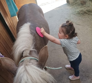 Saint-Maurice-de-Lignon : les Petits Loups au Ranch Montana