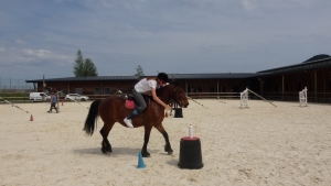 Yssingeaux : une journée sportive et une soirée gala au lycée George-Sand