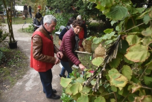 Saint-Pal-de-Mons : un marché pour remplir son panier... de paniers