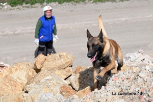 Yssingeaux : un concours canin de sauvetage prévu le 28 et 29 septembre