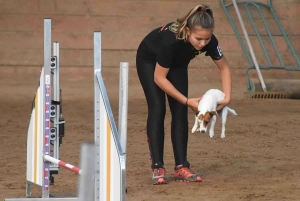 Les championnats de France d&#039;agility junior, c&#039;est ce week-end à Yssingeaux