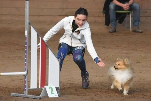 Les championnats de France d&#039;agility junior, c&#039;est ce week-end à Yssingeaux