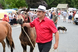 Saint-Front capitale de la chèvre du Massif Central (vidéo)