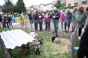 Un dimanche à flâner sur la Foire des Pâquerettes à Retournac