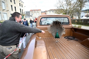 Un dimanche à flâner sur la Foire des Pâquerettes à Retournac