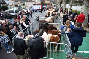 Un dimanche à flâner sur la Foire des Pâquerettes à Retournac