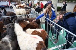 Un dimanche à flâner sur la Foire des Pâquerettes à Retournac