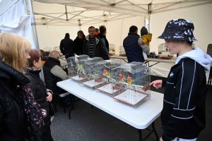 Un dimanche à flâner sur la Foire des Pâquerettes à Retournac