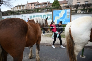 Un dimanche à flâner sur la Foire des Pâquerettes à Retournac