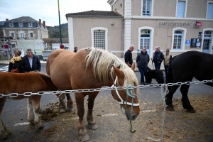 Un dimanche à flâner sur la Foire des Pâquerettes à Retournac