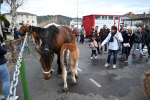 Un dimanche à flâner sur la Foire des Pâquerettes à Retournac