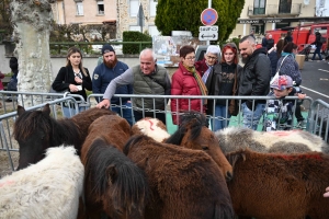 Un dimanche à flâner sur la Foire des Pâquerettes à Retournac